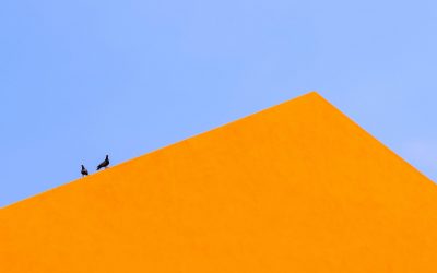 La excelencia en la educación