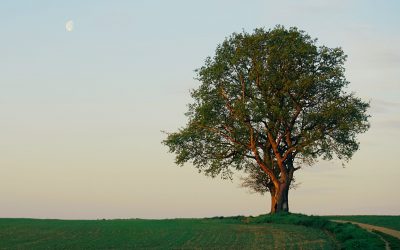 ¿Qué significa tener buen carácter?